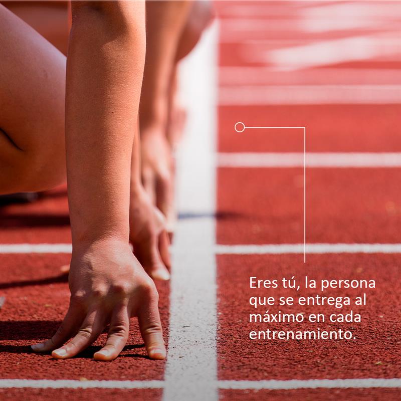 Para alcanzar metas deportivas, todos sabemos que la constancia y la disciplina son importantes para conseguirlo. Pero también lo es contar con el apoyo de profesionales que te ayuden a convertir cada entrenamiento en efectivo i.mtr.cool/dobqdqbkss