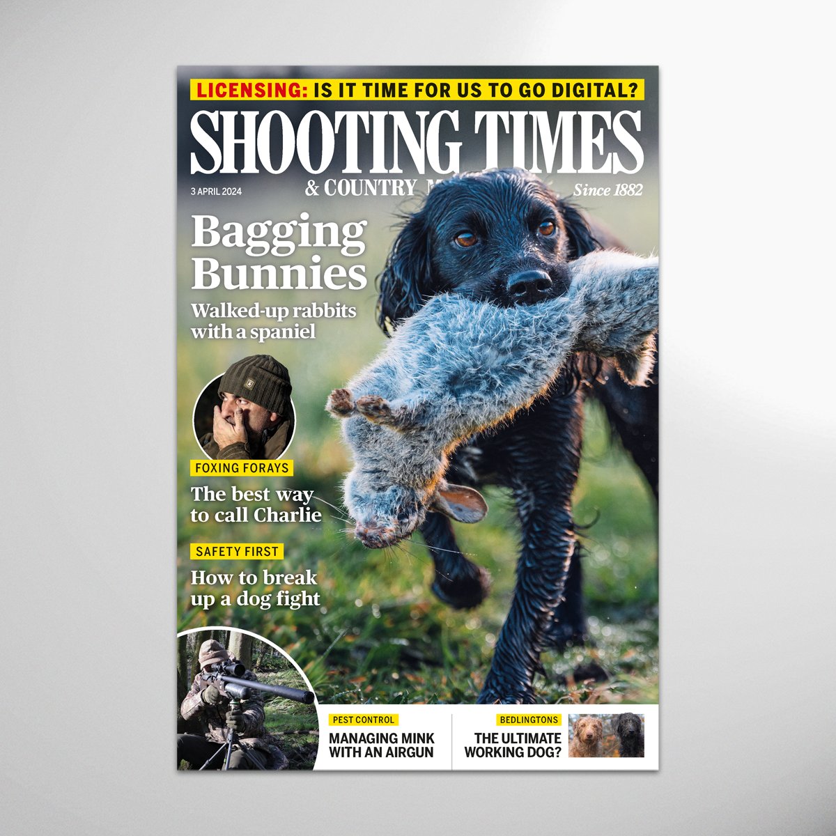 The latest issue of Shooting Times is out now! This week, rabbits are nowhere near as abundant now, thanks to myxomatosis and rabbit haemorrhage disease, but there are a few around for a determined Gun and dog, says Simon Garnham. Laurence Catlow wonders why does shooting