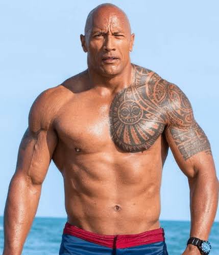 Faridatu001's tweet photo. The rock                                                           ???? https://t.co/LpBLzgLSL8