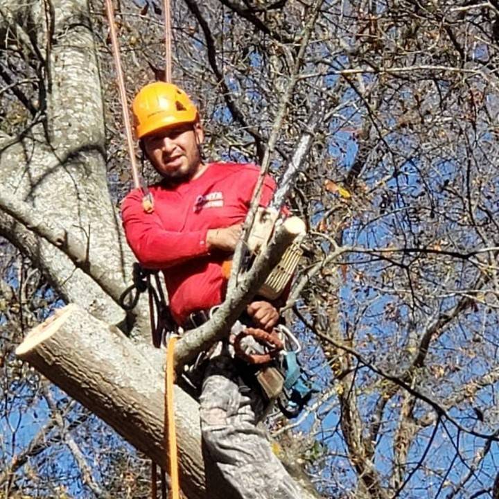DonsTreeSvc's tweet image. Good Afternoon 👍🏽 

#Atlanta #Decatur #atltreeservice ##trees