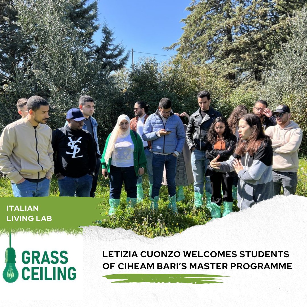 Letizia Cuonzo, a member of the Italian #GRASSCEILING #LivingLab, welcomed students of @CIHEAMBari Master programme in Open Innovation and Youth Entrepreneurship in the Agrifood Sector

grassceiling.eu/living-lab-ita…