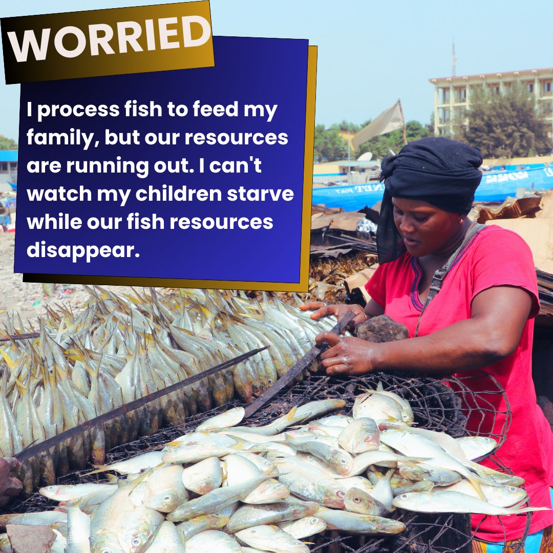 💟 #COUP DE #CŒUR 'I'm a woman fish processor, and I know that our future depends on the sustainability of our resources'. We must unite for the sustainable management of small-scale fishing in Africa. 🤝 @NdiagaGueye3 @FAOWestAfrica @GueyeGaoussou @diomaymoysonko_