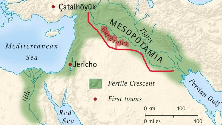 Tecnocurioso 🤖 tweet media