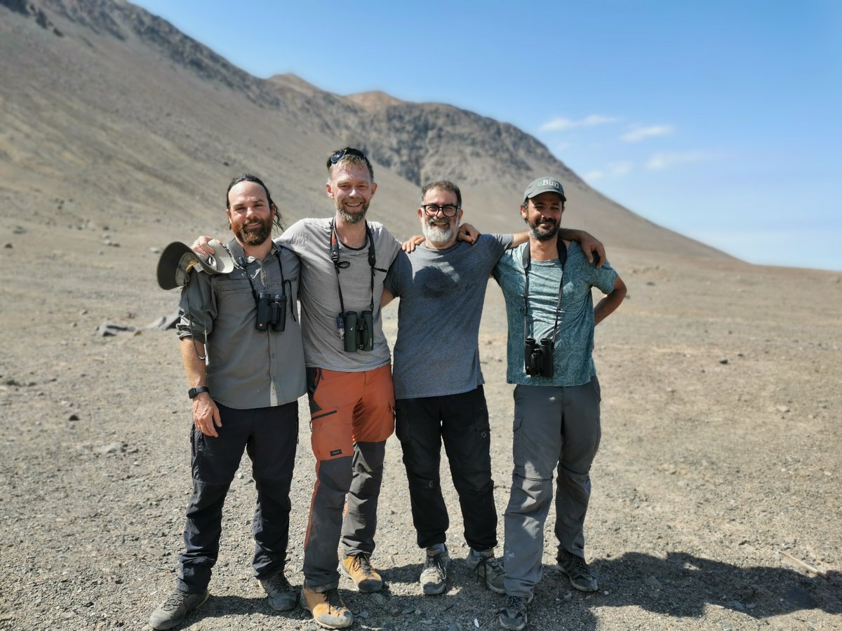 Ivo Tejeda tweet media