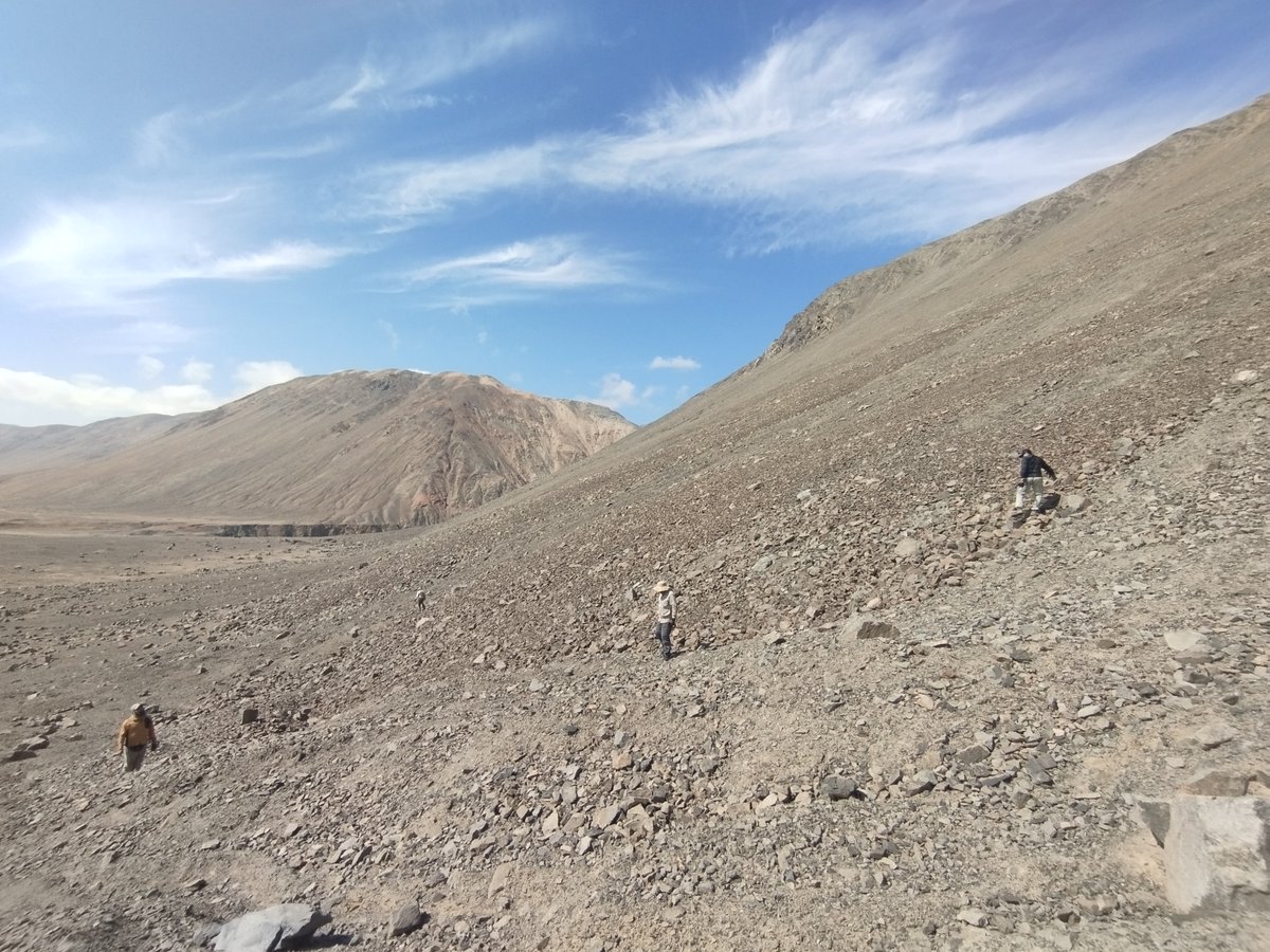 Ivo Tejeda tweet media