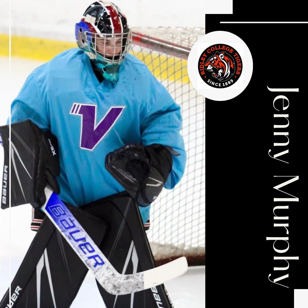Vision Hockey Group tweet media