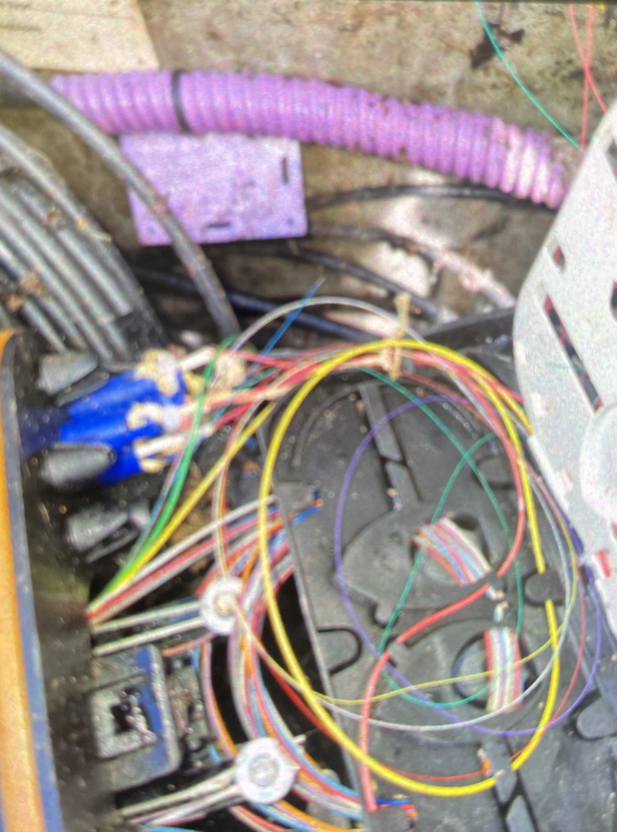 Géraldine Woessner tweet media