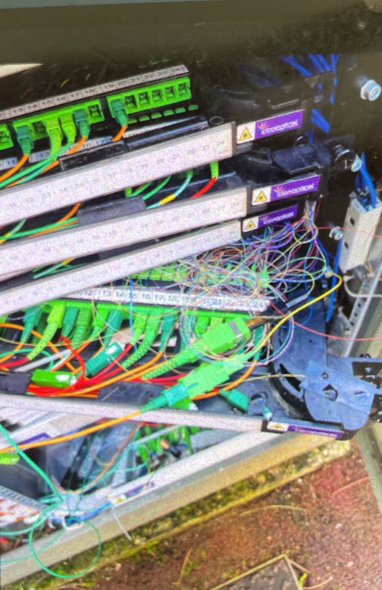 Géraldine Woessner tweet media