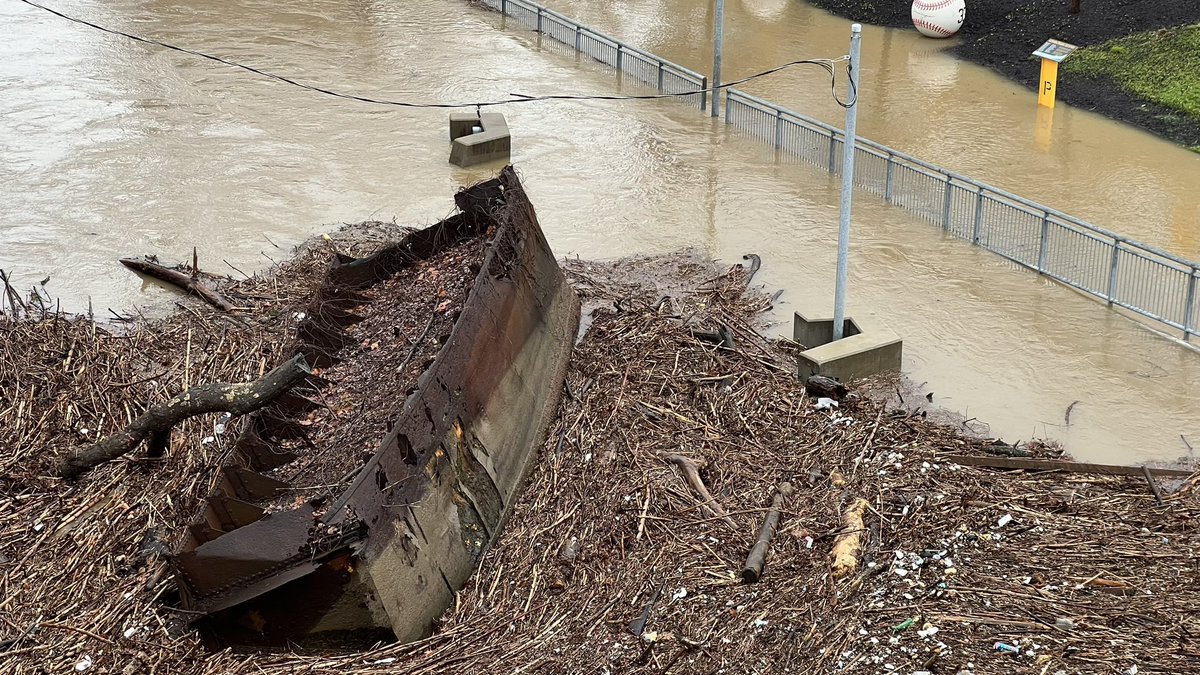 Steven Adams tweet media