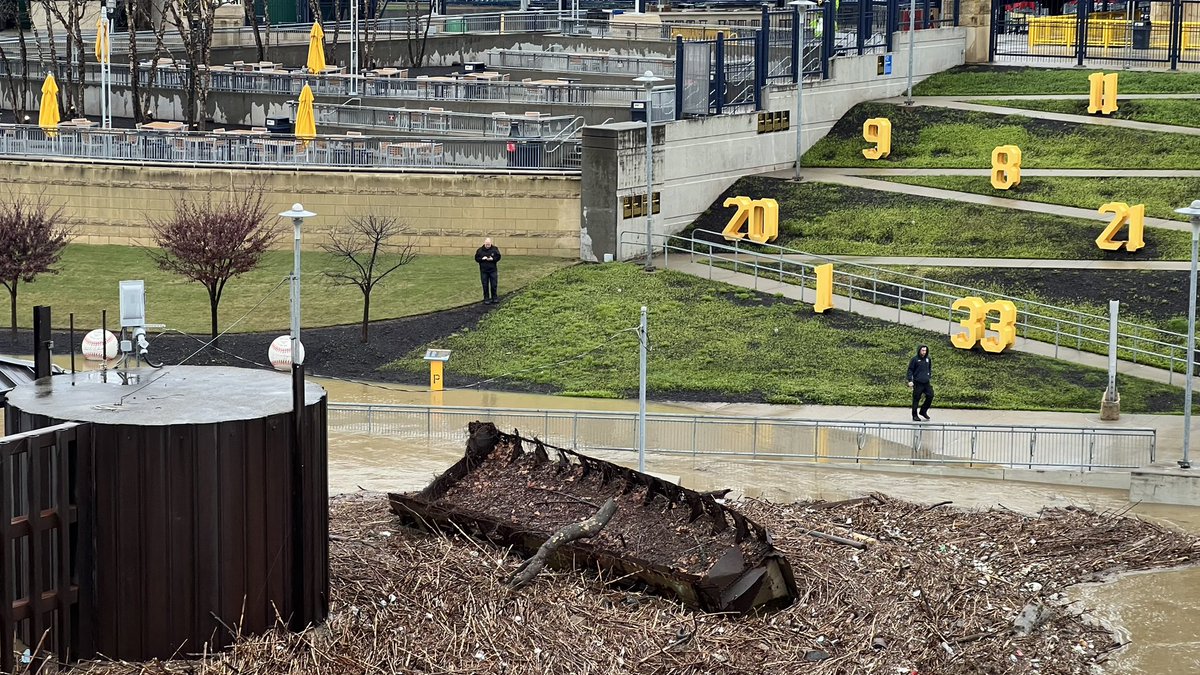 Steven Adams tweet media