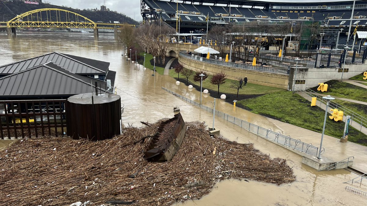 Steven Adams tweet media