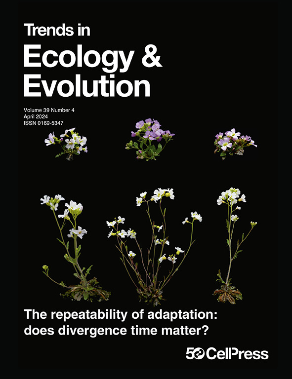 1/5 ✨Super happy✨ to see our new review with Katie Peichel as featured content in @Trends_Ecol_Evo, with my beloved alpine lineages of Arabidopsis arenosa on the cover. Hope that you find it interesting! doi.org/10.1016/j.tree…