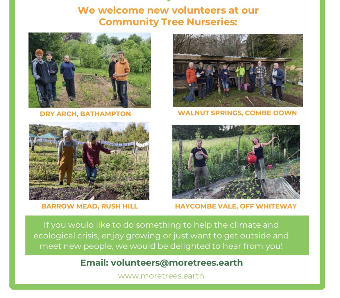 Volunteer with us at our community tree nurseries! 🌿🌳 Whether you love trees, care about the environment and nature, love being outside… or want to learn new skills or meet new people, we’d be delighted to hear from you 💚