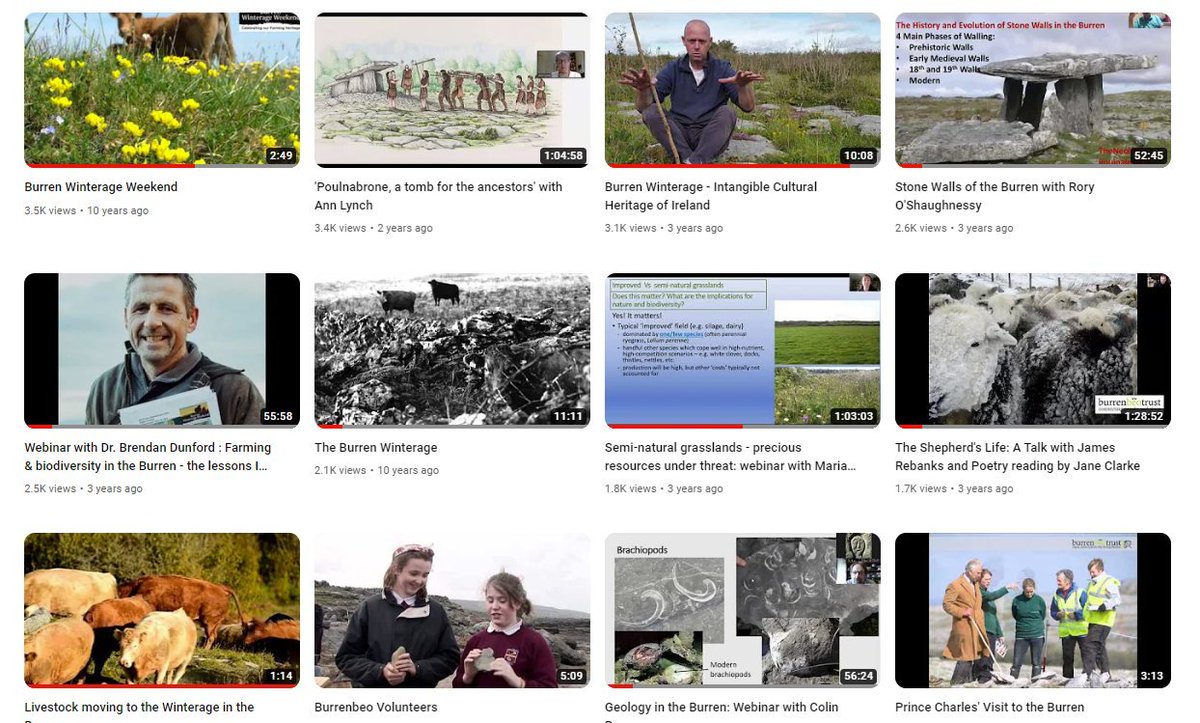 🌼Did you know that we have now built up a freely available resource of 200 fascinating talks on various aspects of the Burren's heritage - On our YouTube channel youtube.com/user/BurrenBeo… or neatly categorised on our archive webpage here - burrenbeo.com/webinars/