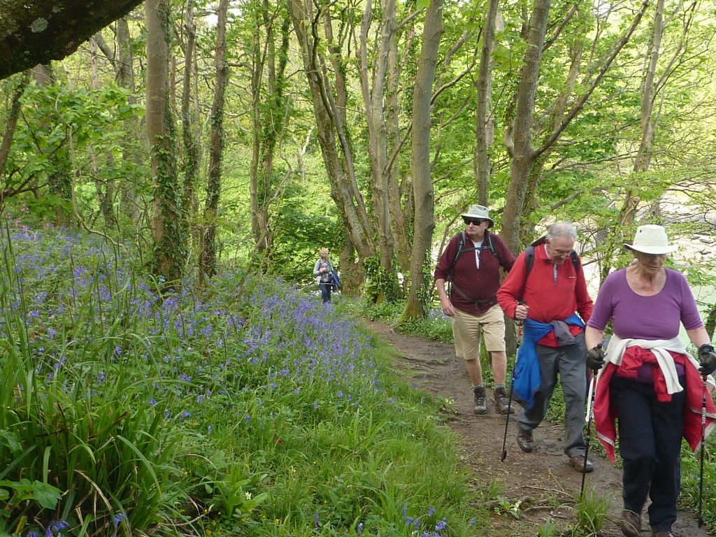 Lace up your shoes.. it's National Walking Day! 👣 From gentle beachside strolls to longer creekside and cliff walks, Falmouth has something to suit everyone.🚶 Check out some local self-guided maps here: bit.ly/2zsEZa2 #lovefalmouth #nationalwalkingday