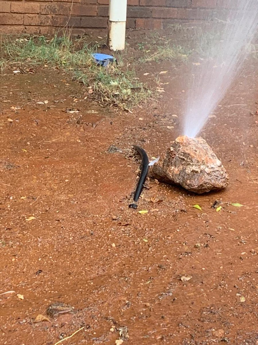 elanh's tweet photo. @JHBWater there is a burst pipe on Old Kilcullen road in Bryanston opposite Kiltealy intersection near the health Center.  Not sure if it’s a personal irrigation or a municipal pipe but checking nonetheless as it’s been watering the sand since 7am https://t.co/P3Yr2AWmDe