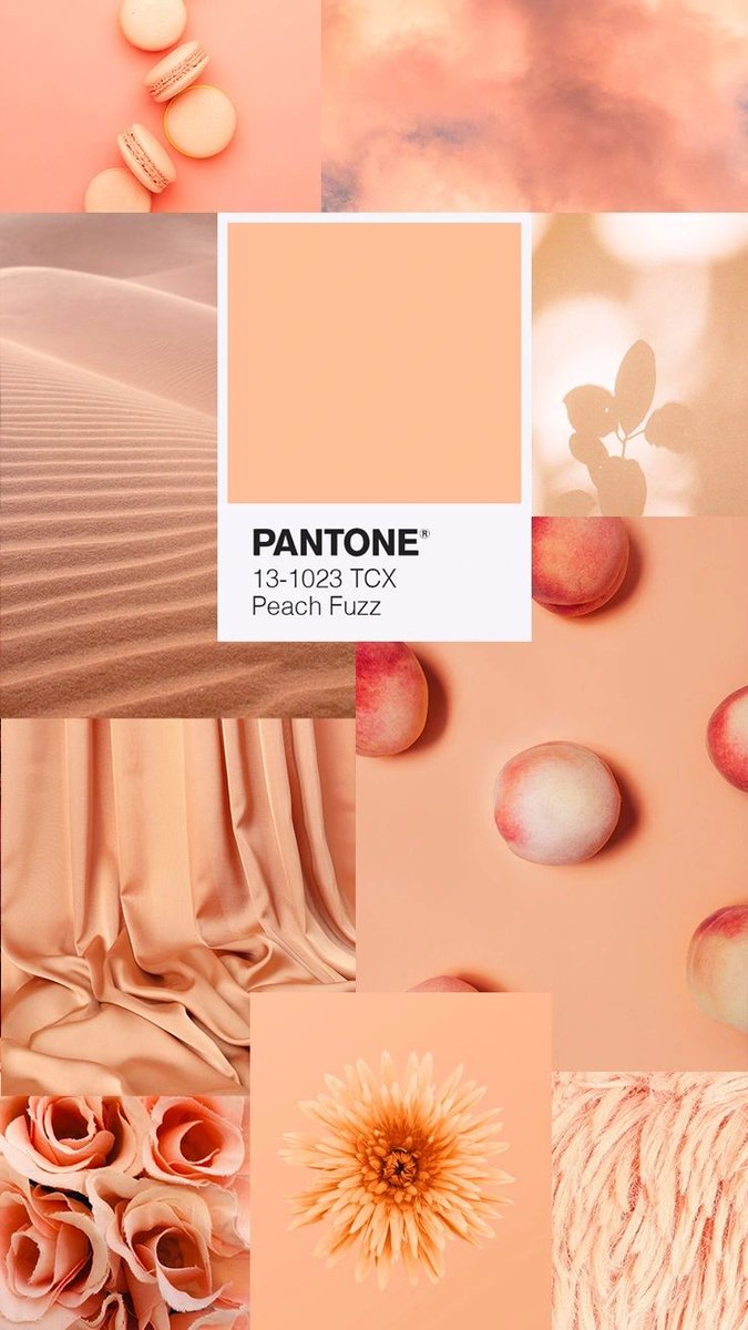 marthamwatha's tweet photo. how does pinterest see you? search the categories 
- fashion     
- pantone     
- mood     
- food https://t.co/0K49djaO1w