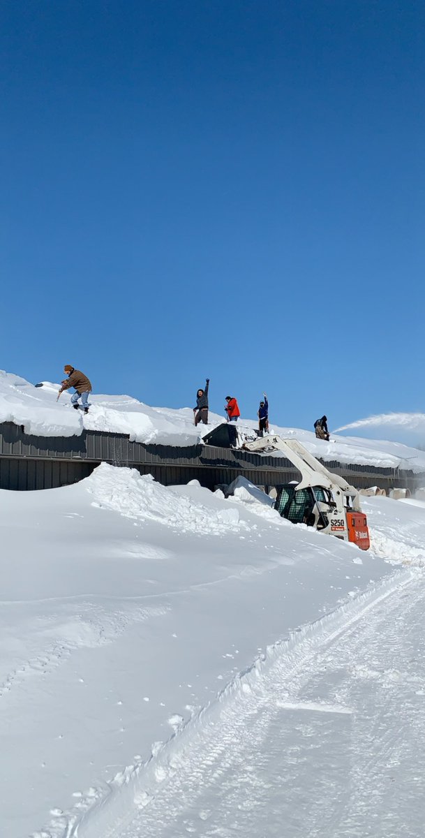 Tanner Rohloff tweet media