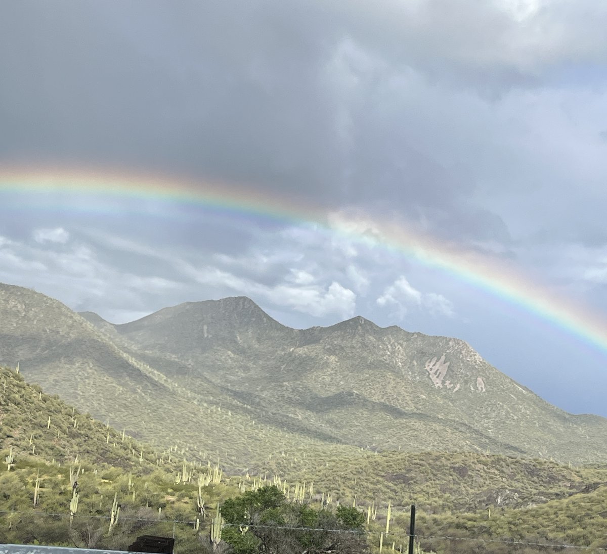 Thanks for the warm welcome Tucson!