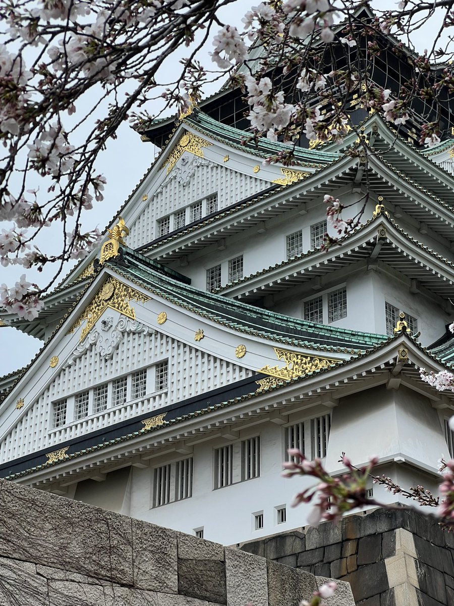 SungHsu_'s tweet photo. 雨の中で、大阪の夜桜を見ます https://t.co/2WESejAdiJ