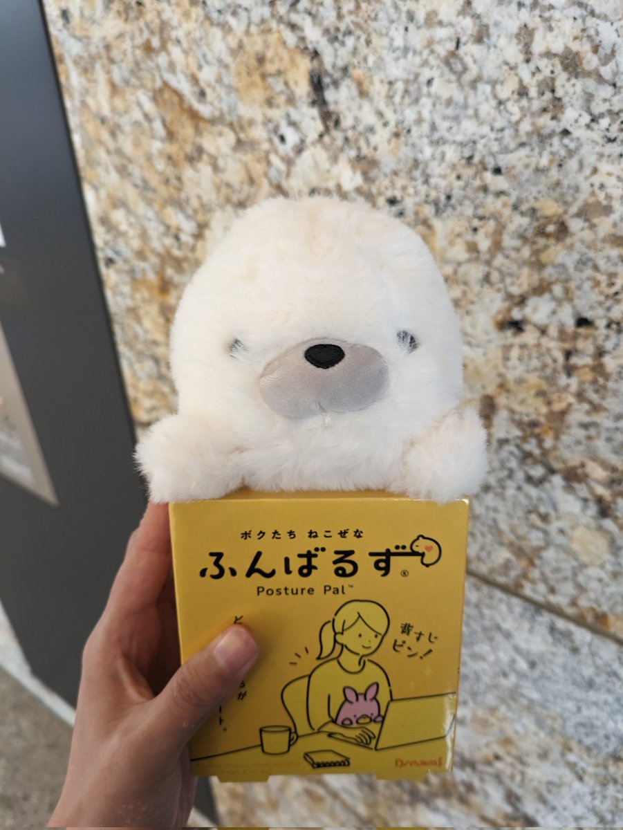 NdV1x's tweet photo. ふんばるずちゃん。かわいい。
会社で猫背防止に使おうと思ったけど飾ってる。
そんでたまに撫でてあげてる。さすさす。 https://t.co/lGevvm0aCt