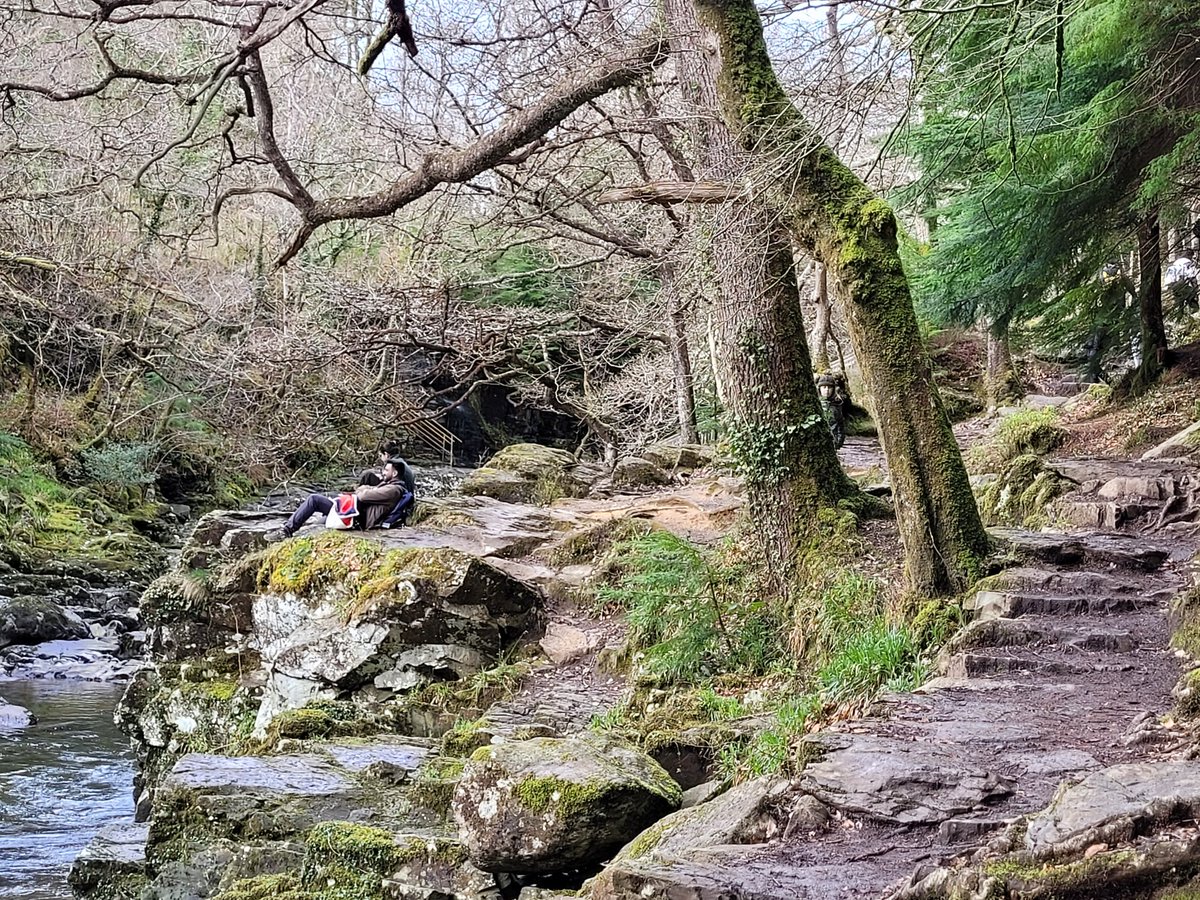 A few more from Betws-y-Coed and our more gentle hike on lower land. 😅
#betwsycoed #littlehike
