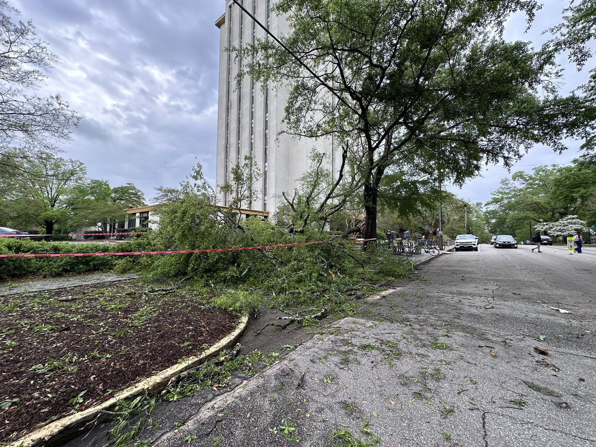 ⚠️ A large tree fell on to the sidewalk and lot entrance between Capstone and Columbia Hall (Barnwell Street). Please use caution when walking in this area as part of the sidewalk is currently unusable. Avoid walking on the road.