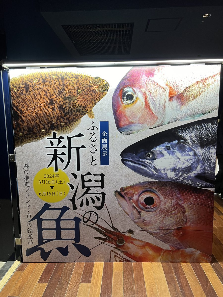 水族館の企画展示って面白いですよね
地元の水族館が新しいのをやるたびに見に行っちゃいます
#むしさん生存記録 