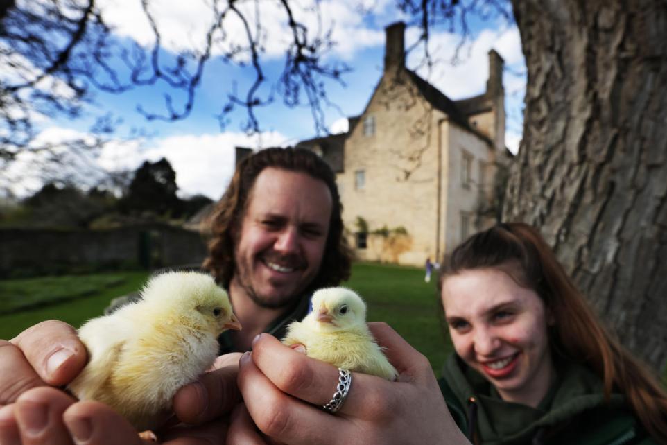 Read all about it! See Cogges' spring chicks🐥 + egg hunt until 14 April. Thanks to Witney Gazette @TheOxfordMail 📷 Ed Nix + check out our new season of events from The Jungle Book family theatre (Bank holiday weekend 4 May) to our Spring Fair (11 May) 🐥 witneygazette.co.uk/news/24226337.…