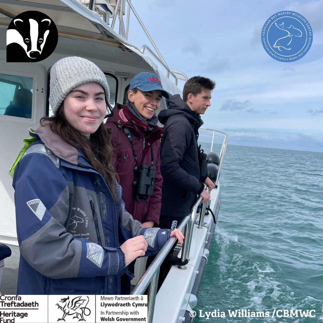 Diving into the action! 🐬 🧑‍🤝‍🧑 Last week our volunteers honed their data collection skills during a practical dolphin survey training session 🛥️📋 We’re making waves as #citizenscientists contributing vital data to our #NatureNetworksFund Project 🌊 @WTSWW @HeritageFundUK