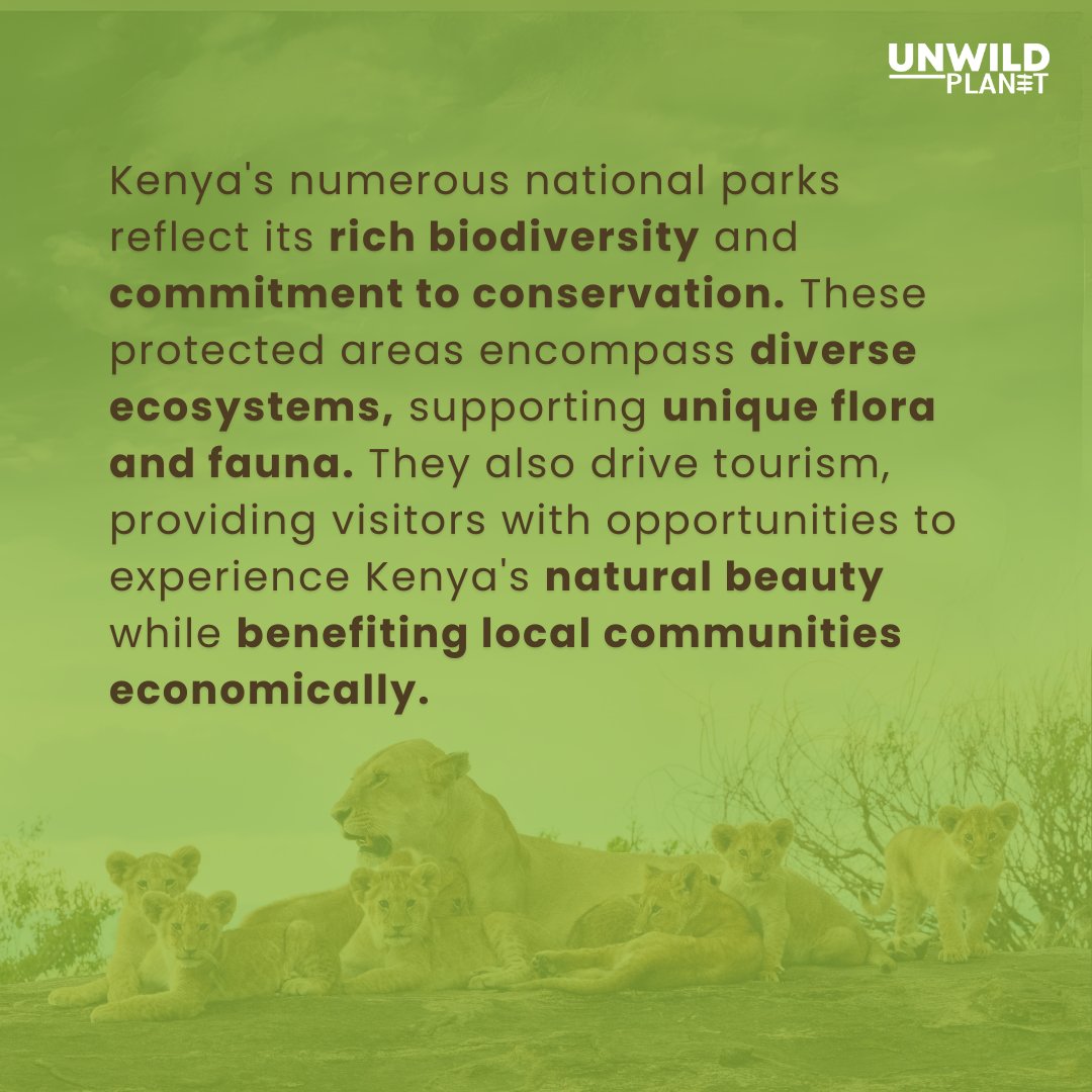 UnWildPlanet's tweet photo. Best time to visit Kenya: July-Oct for the Great Migration where 2M wildebeest, zebra, and gazelle move from Serengeti to Masai Mara. Year-round wildlife viewing in Masai Mara, Amboseli, Tsavo, and Chyulu Hills. Planning a Kenya trip? Comment below! https://t.co/FzaajVHdXd