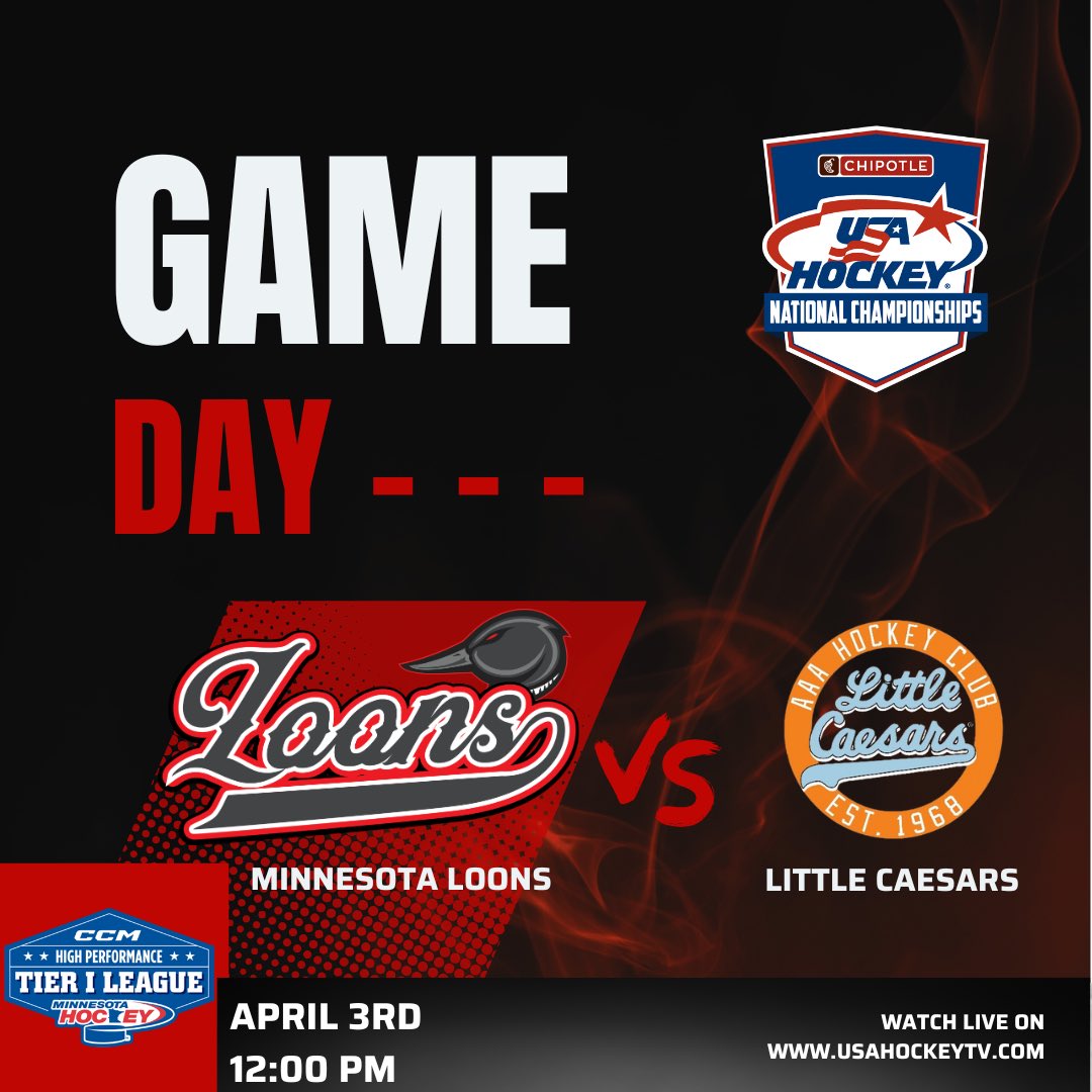 D2 Loons 14U Tier 1 Hockey tweet media