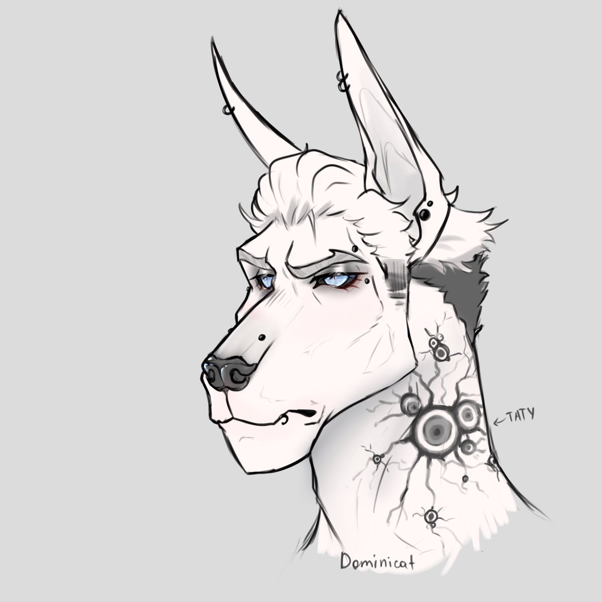 Dominicat tweet media