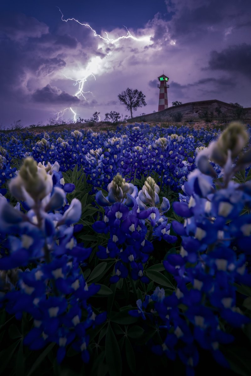 Wild storm caught the other night in Texas 💙⚡️
