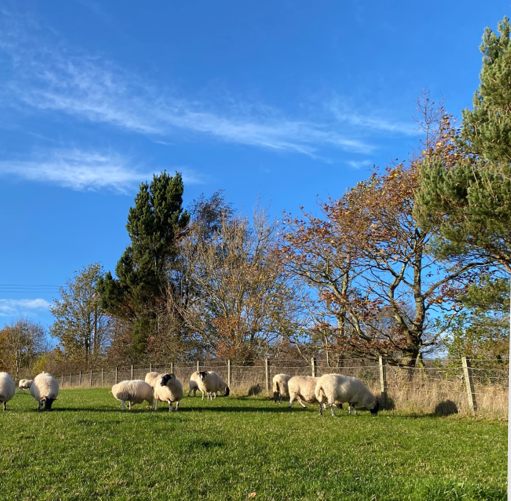UnderTheTones's tweet photo. Arianne Lowe is investigating anti-microbial resistance in agricultural environments #SRUCPGR24 @SRUC https://t.co/uRaXud7Iqo