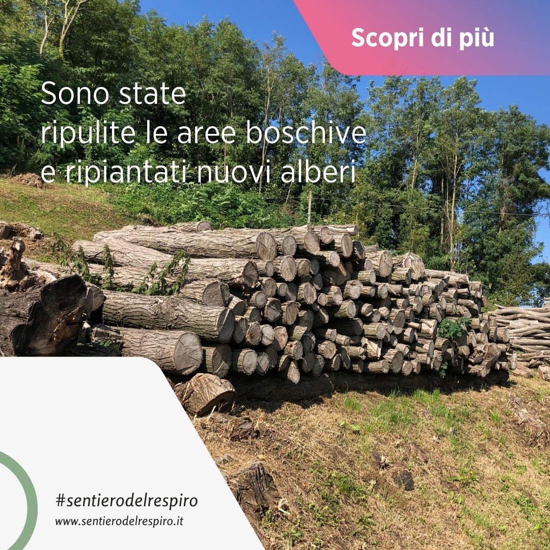 La tempesta Vaia 2018 ha causato danni enormi al territorio, ma lungo il Sentiero del Respiro sono stati piantati nuovi alberi per contribuire all’assorbimento della CO2, creando un percorso naturalistico-educazionale dedicato alla salute e alla tutela ambientale