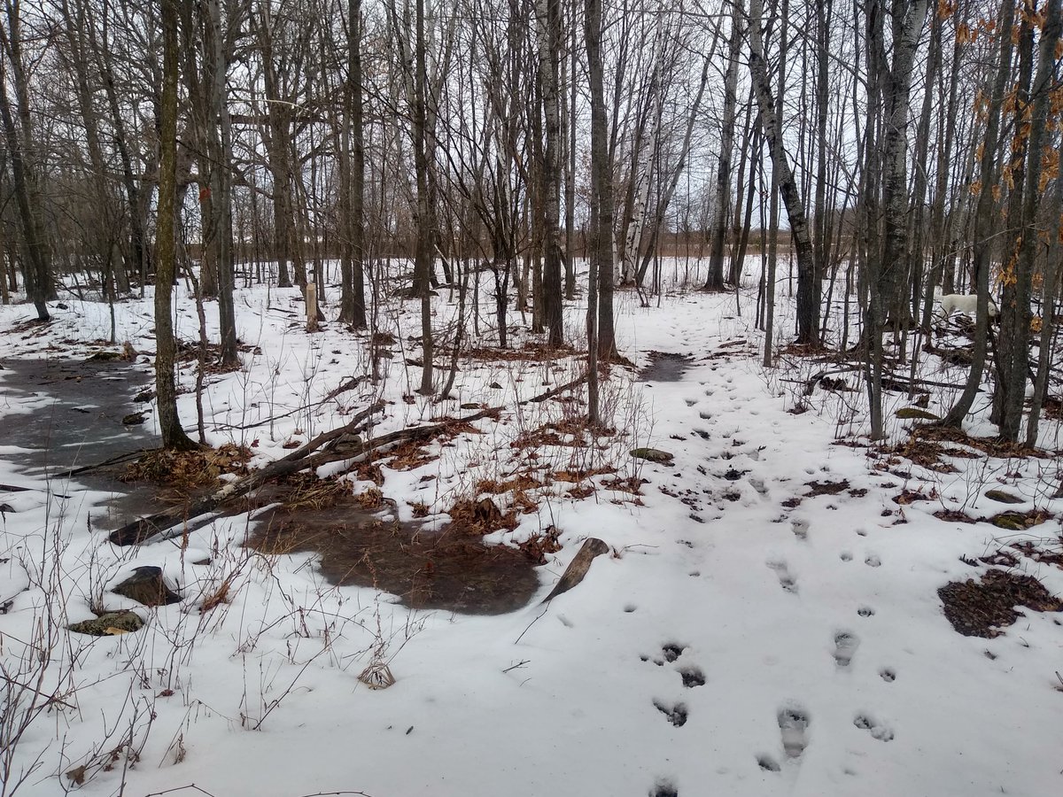 A recent poem I've written; I like to call *Mud* along with a picture of the trails i call home. 

#art #poetry #poetrycommunity #nature #writing