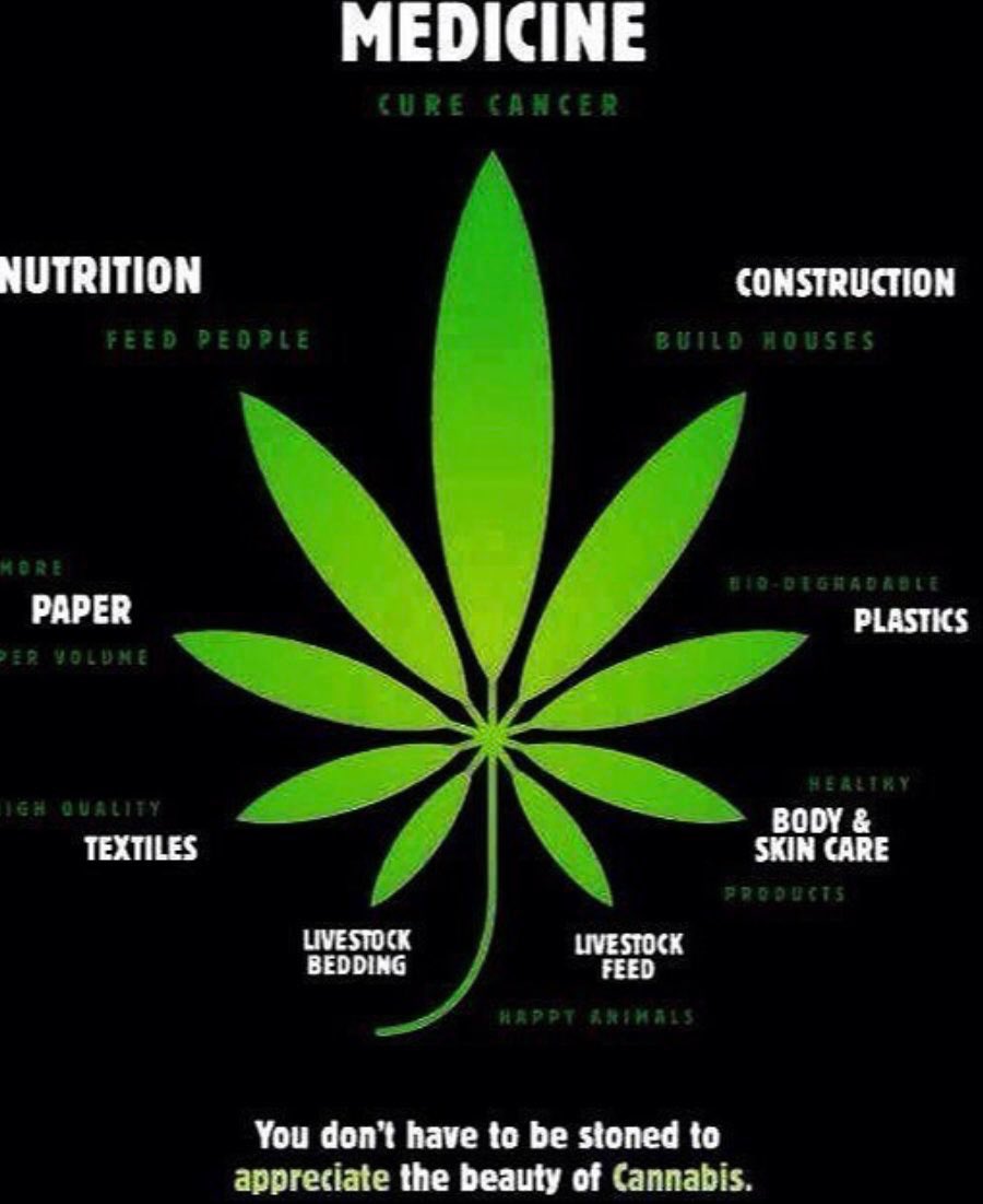 Can’t wait for the day when there are no roadblocks for research & new discovery so we can find out the real power of #Cannabis ! #LegalizeIt #CannabisCommunity #Mmemberville #CBD #Hemp