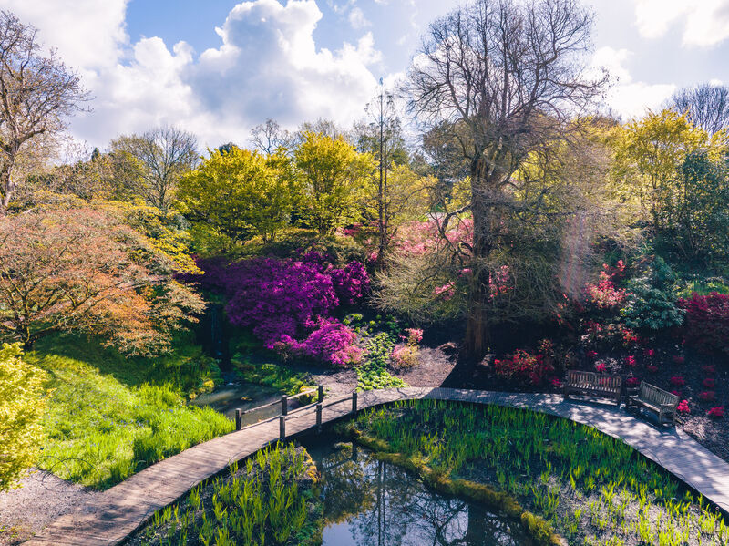 Vacancy: Senior Research Leader - Nature-based Solutions 📢 We are looking for an experienced researcher and leader, either in biodiversity science or in an allied discipline related to Nature-based Solutions 👨‍🔬 Deadline 8 April. Find out more 👇 ow.ly/eth650QXMPv.