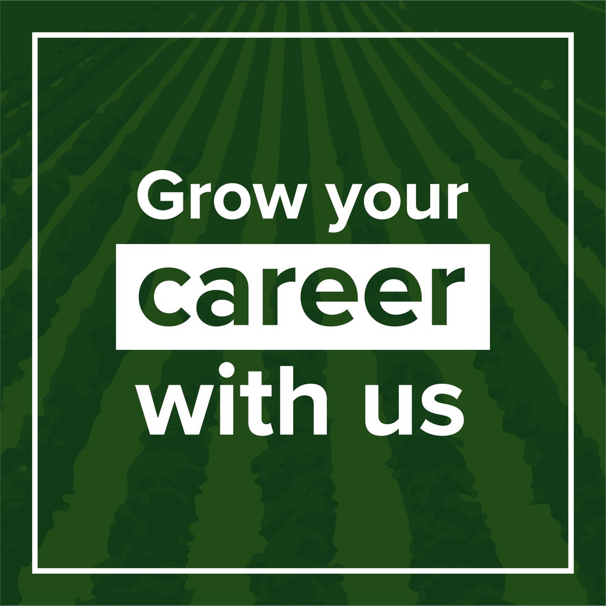 Come grow your career with us! 🌱 When you join DSBN, you become part of a community 🏫 Check out any active job postings 👇 careers.dsbn.org