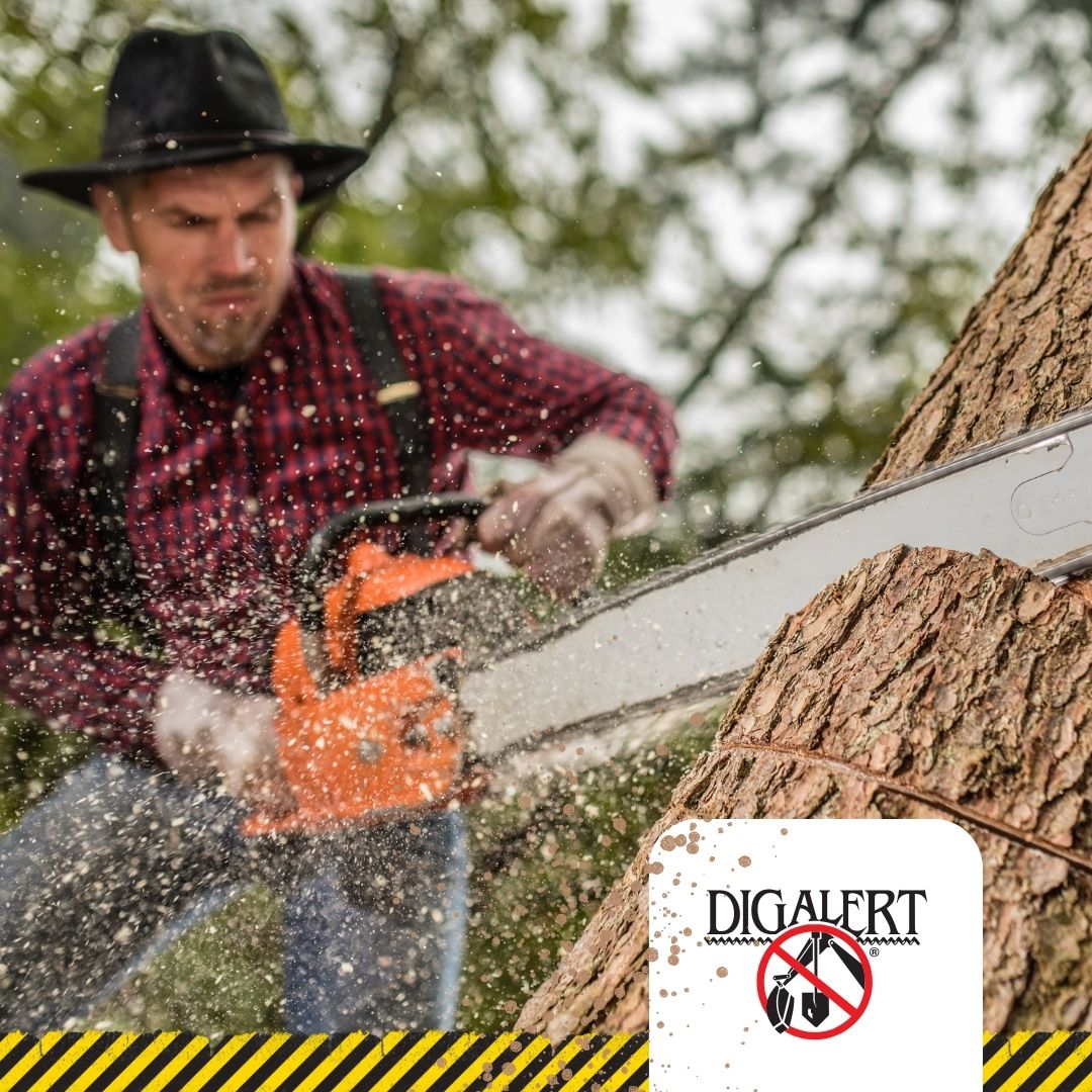 DigAlert's tweet photo. Trimming trees or grinding a stump? 🪓  Contact DigAlert® first for a safe start!

If your work would disturb the ground below, contact DigAlert® before you dig.

It’s fast, it’s easy, it’s FREE and it’s the LAW!

https://t.co/ng27kBbDWR 

#DigSafe #SpringYardwork https://t.co/UHlfVCgjBU