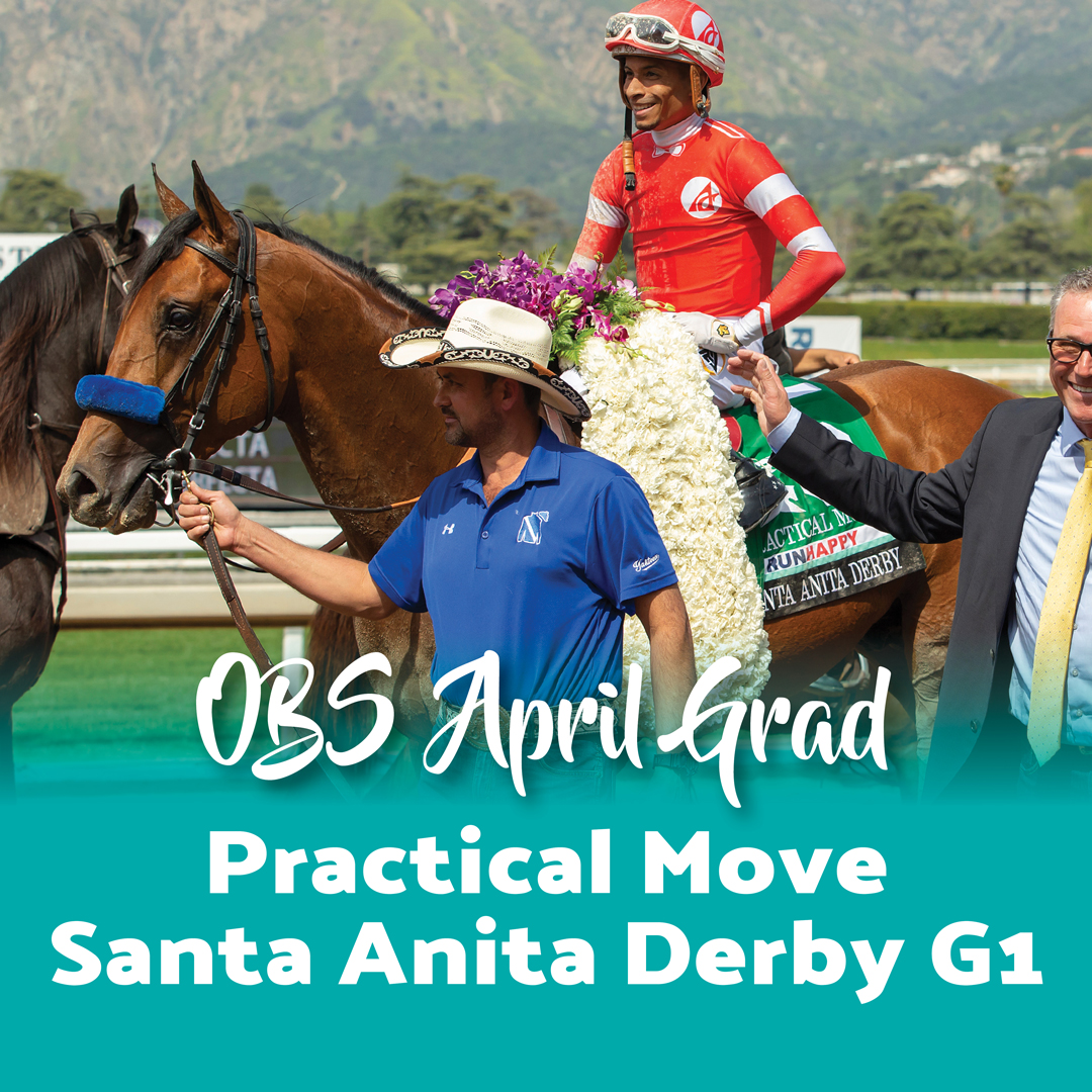 Practical Move (Practical Joke) a 2022 OBS Spring grad bought for $230k and earned almost $1 million in his 8 career starts. He won the G1 RUNHAPPY Santa Anita Derby, G2 San Felipe Stakes and G2 Los Alamitos Futurity. Come get your champion at OBS Spring on April 16 - 19.