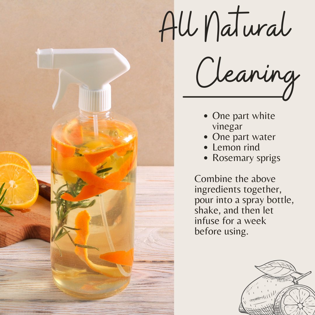 DrlisaDC's tweet image. Here’s a simple recipe for an all-natural cleaning product! 
• One-part white vinegar 
• One-part water
• Lemon rind
• Rosemary sprigs

#cleaningsolution #allnatural #cleaningproduct #healthyliving #healthytips