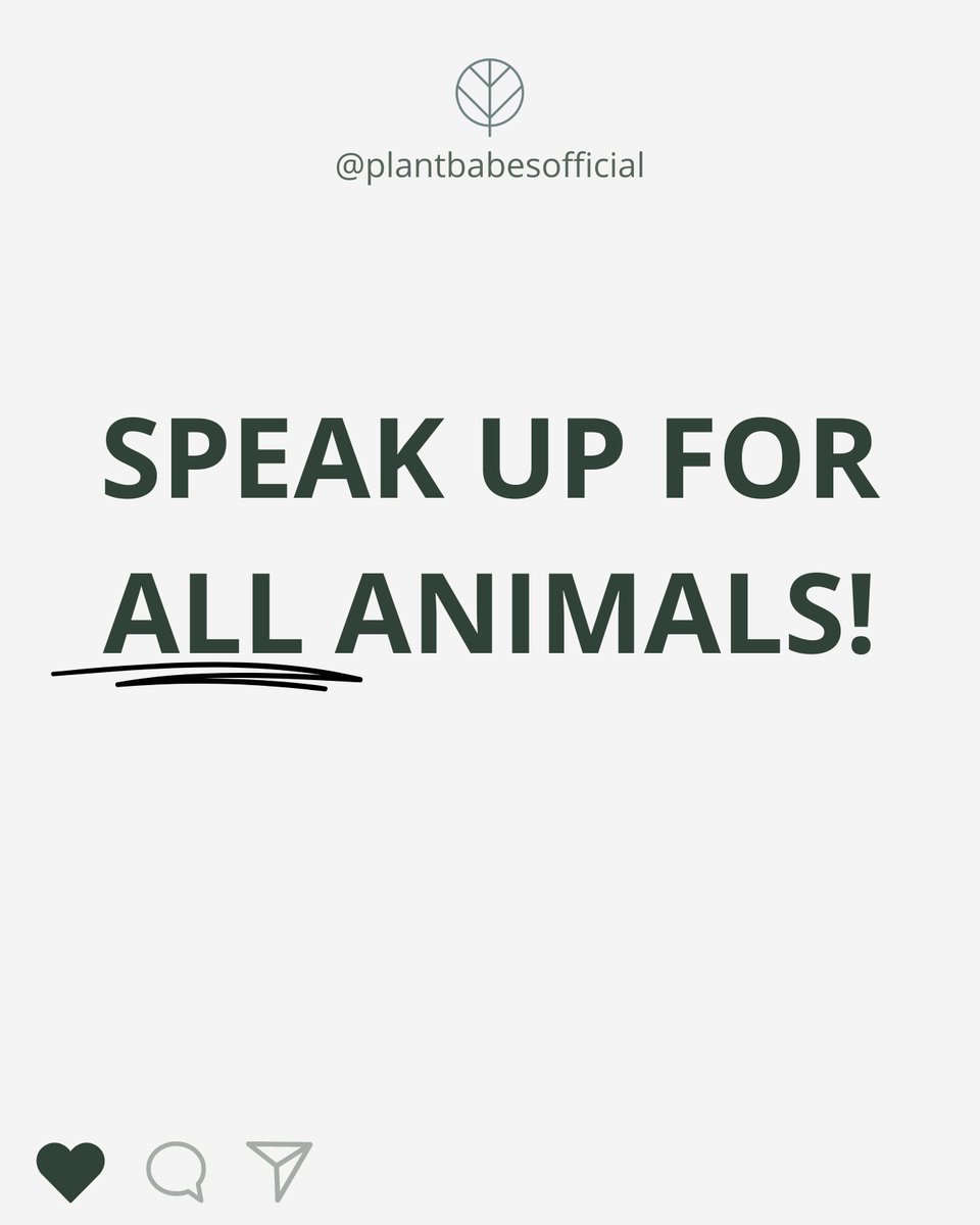 Speak up ALL animals! Their voices cannot be heard, so let yours ring out, a powerful, compassionate word. #SpeakUpForAnimals 📣 

#veganism #goVegan #AnimalAbuse #animalsrights