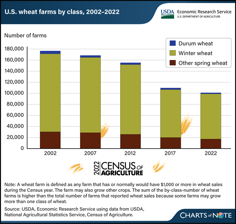 2022 Census of Agriculture: Fewer U.S. farms are growing wheat. 

Learn more in today's Chart of Note: ers.usda.gov/data-products/….

#AgCensus