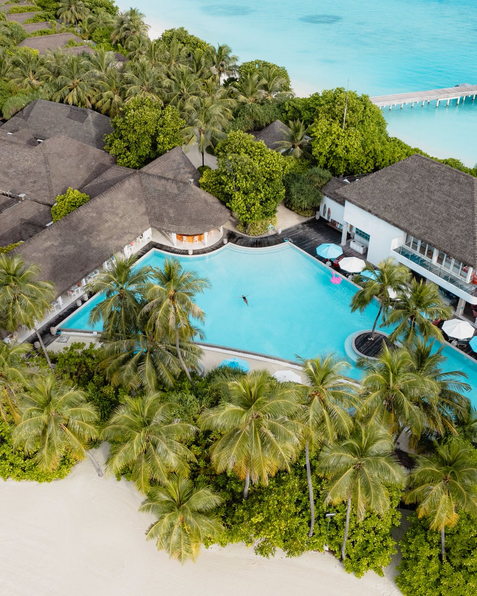 Dive into luxury with our world-class offerings! Whether you fancy a refreshing   swim or a delicious drink at our pool bar, we've got you covered. 

#seasidefinolhu #finolhumaldives #maldives #seasidecollection #PoolsideSips #SwimUpBar
#SplashAndSip