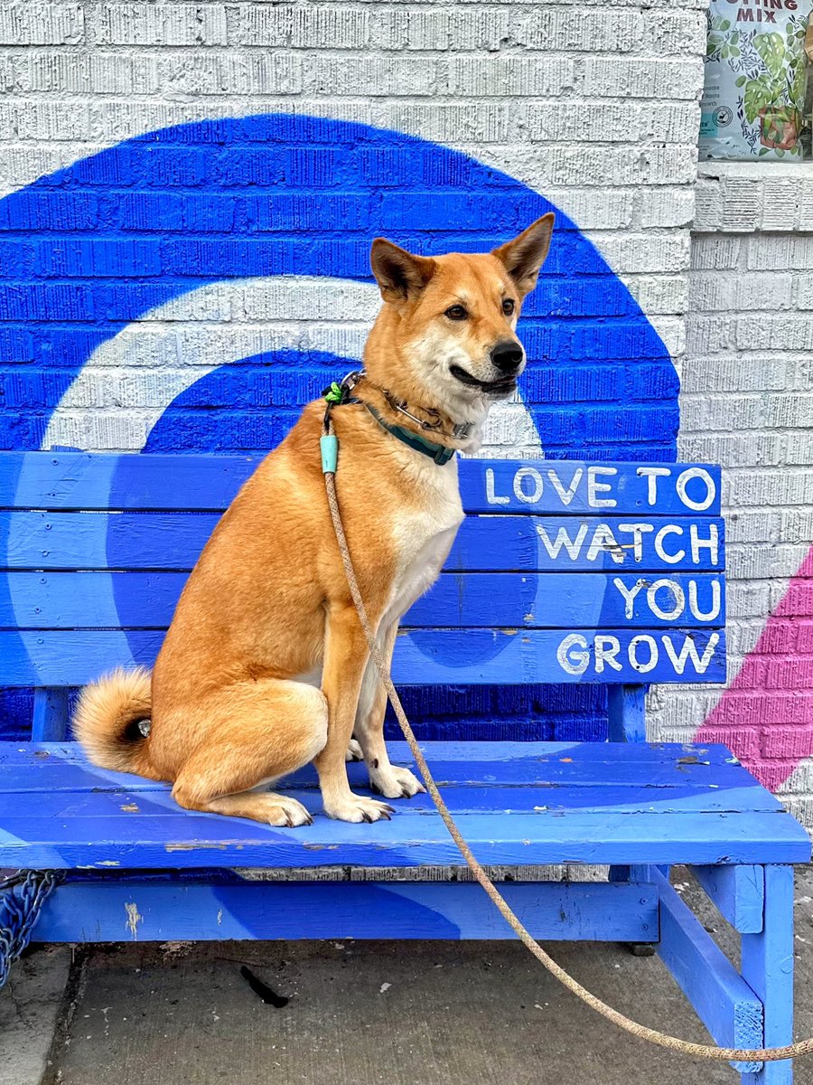 ᴉllǝsoɹ qoɹ tweet media