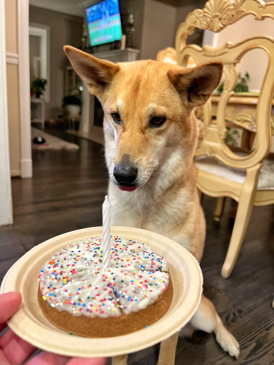 ᴉllǝsoɹ qoɹ tweet media