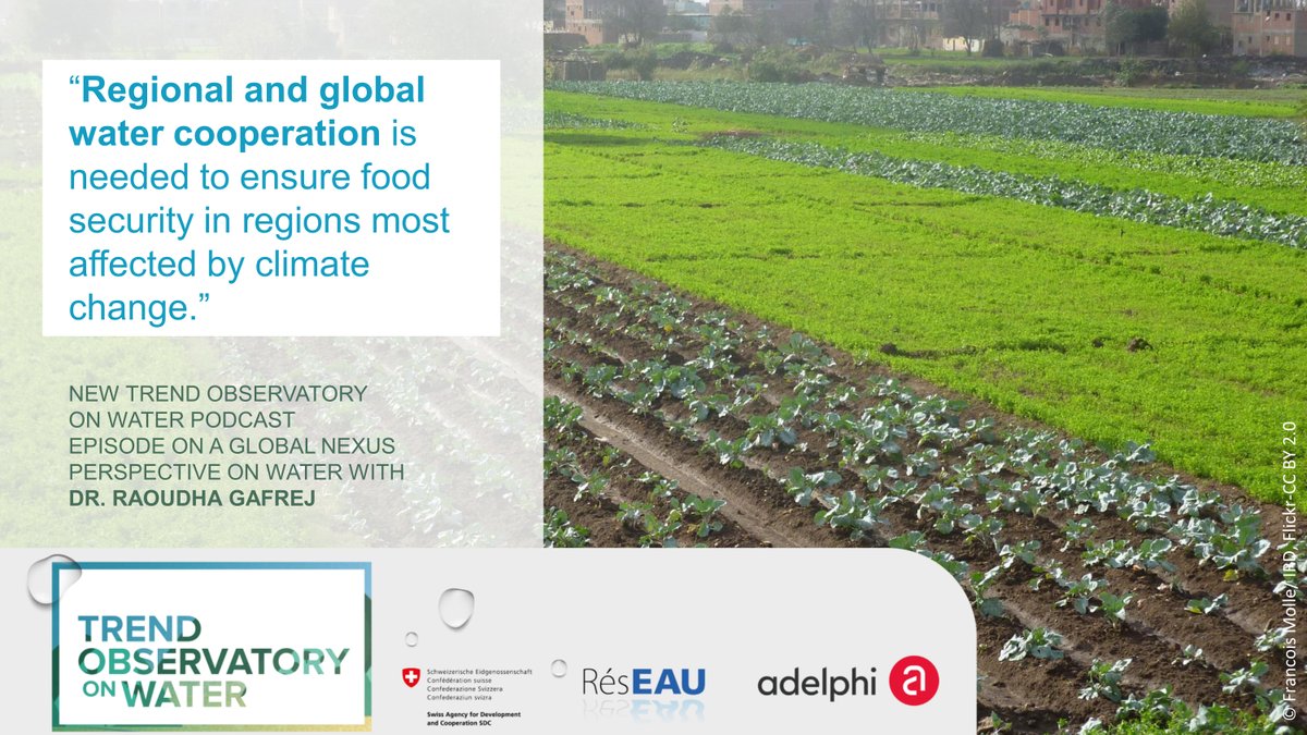 SwissDevCoop's tweet photo. #WaterForPeace requires regional and #GlobalCooperation to share green &amp; #VirtualWater with a #FoodSecurity perspective.

Listen to the new SDC Trend Observatory on Water podcast with Dr. Raoudha Gafrej from the 5th #medwaterforum in #Tunisia 

👉https://t.co/JeHuFtTRre
@adelphi https://t.co/3GqNB4SD0Y