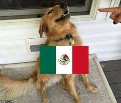 *Terremoto en Taiwán, tsunami en Japón, sismo en Ecuador*

México: